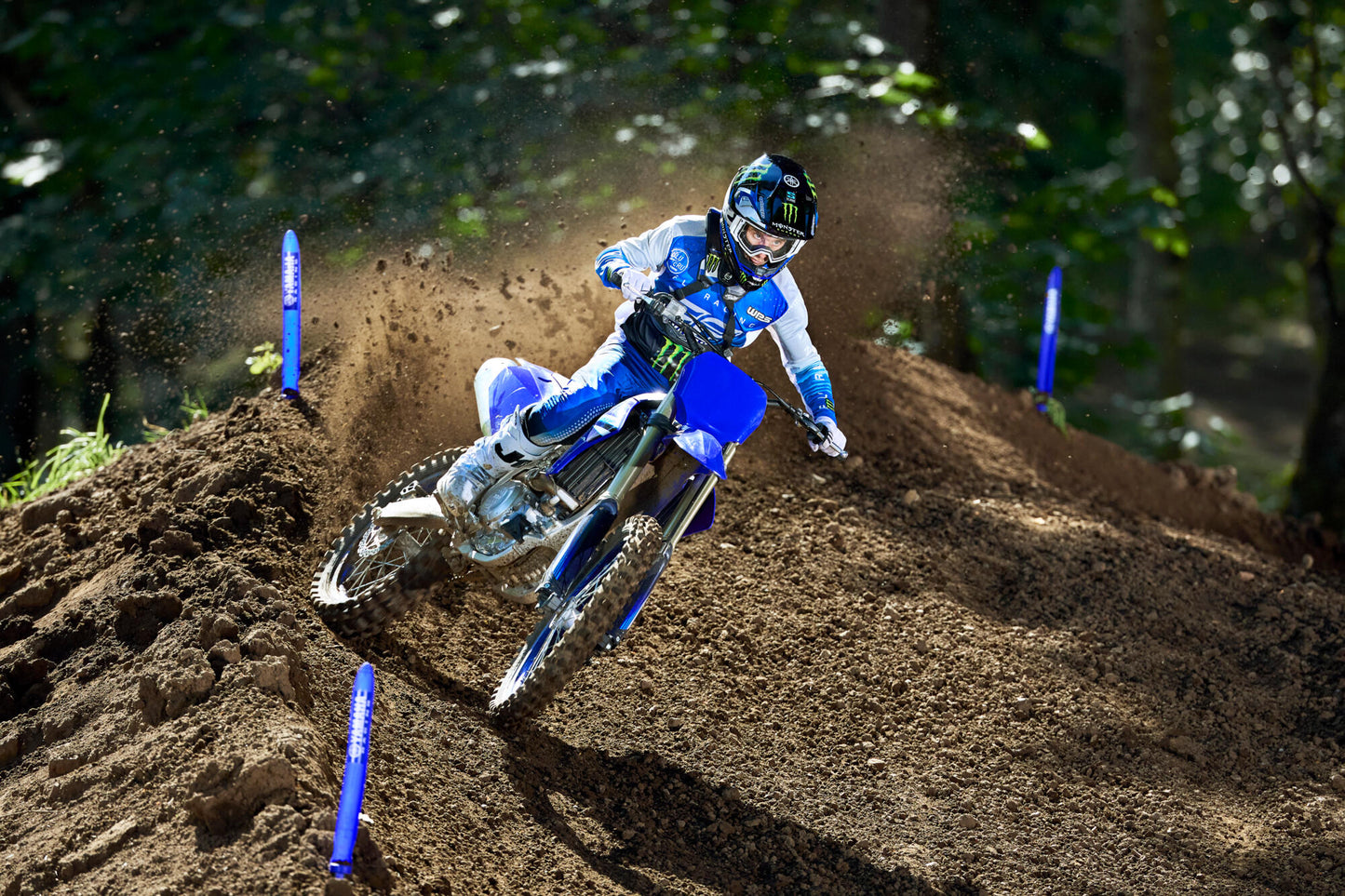 2025 YZ450F