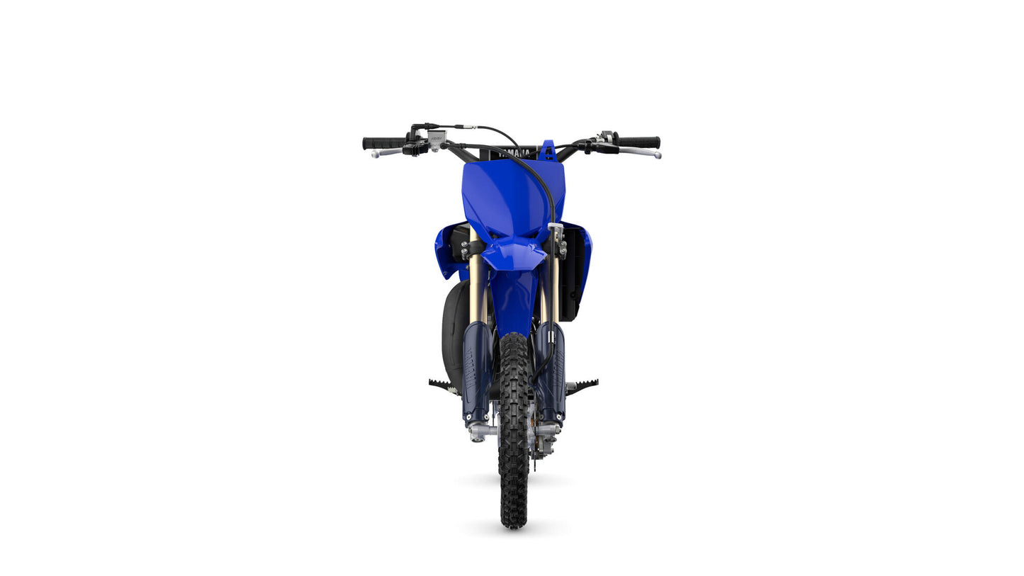 2025 YZ65