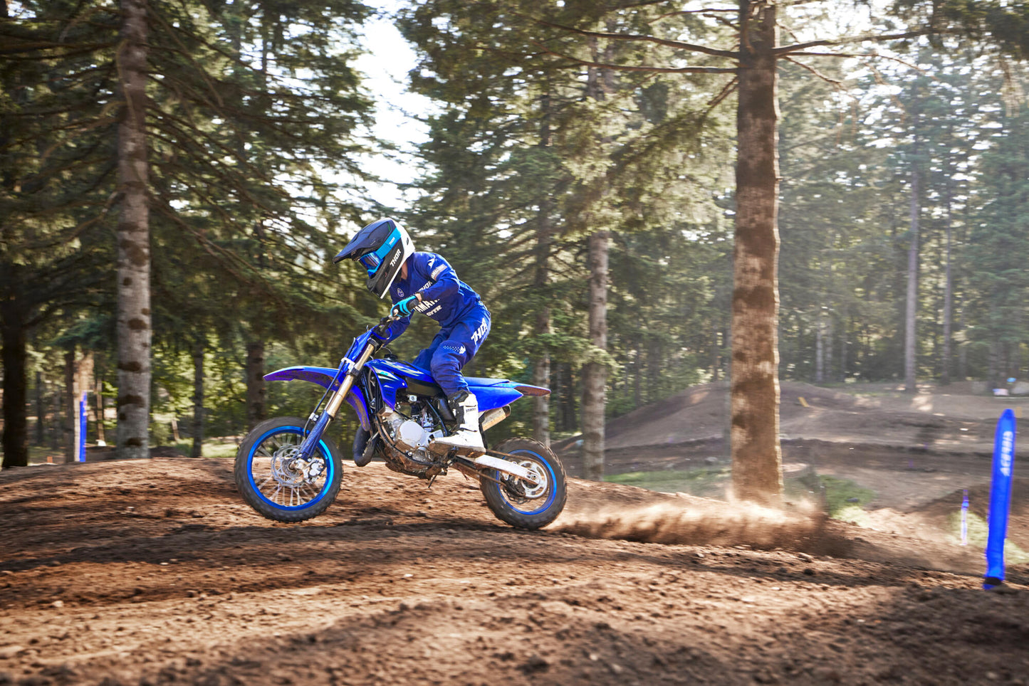2025 YZ65