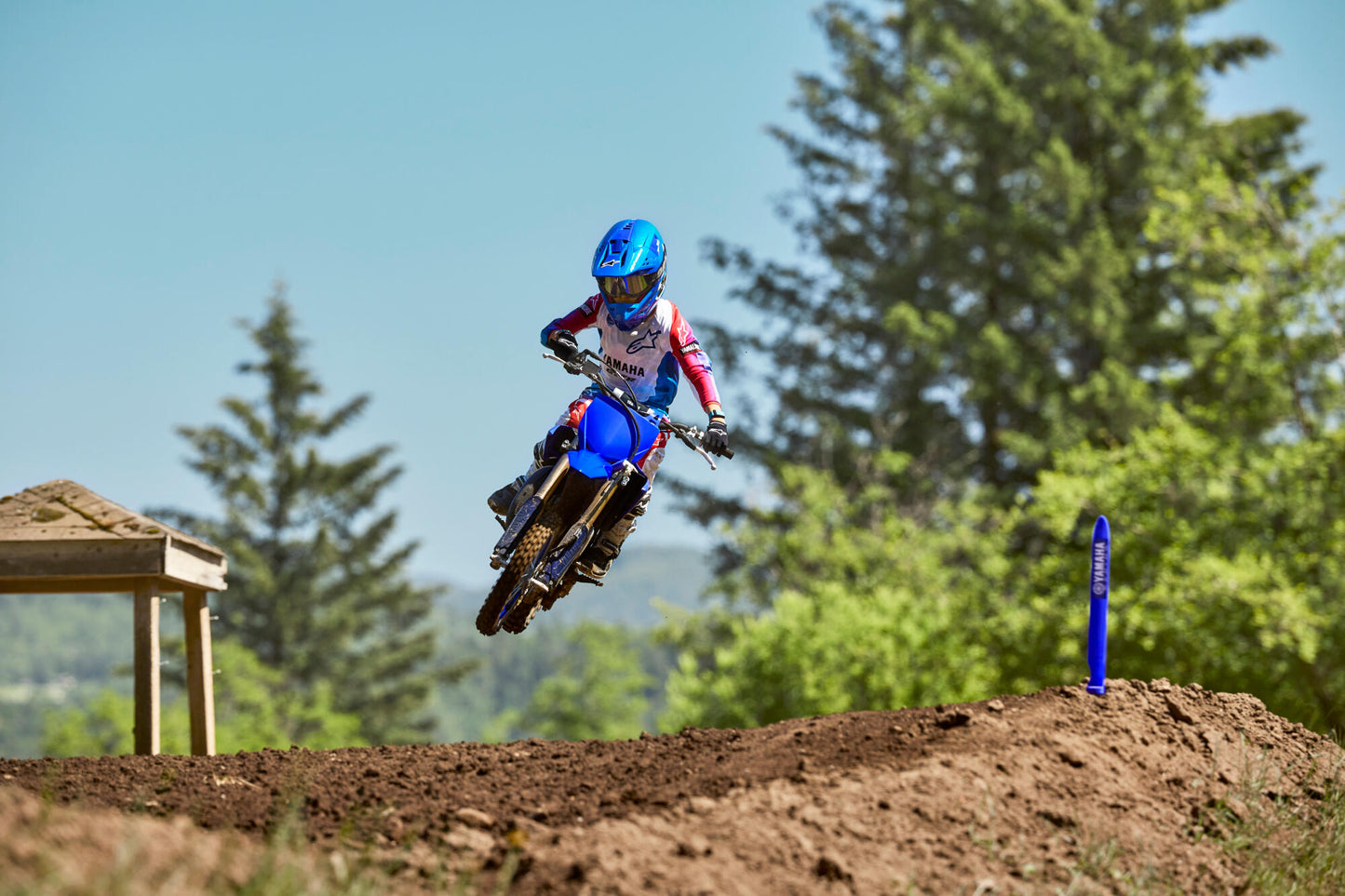 2025 YZ65