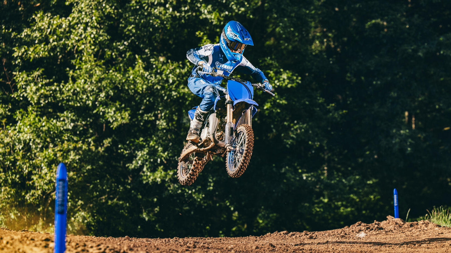2025 YZ65