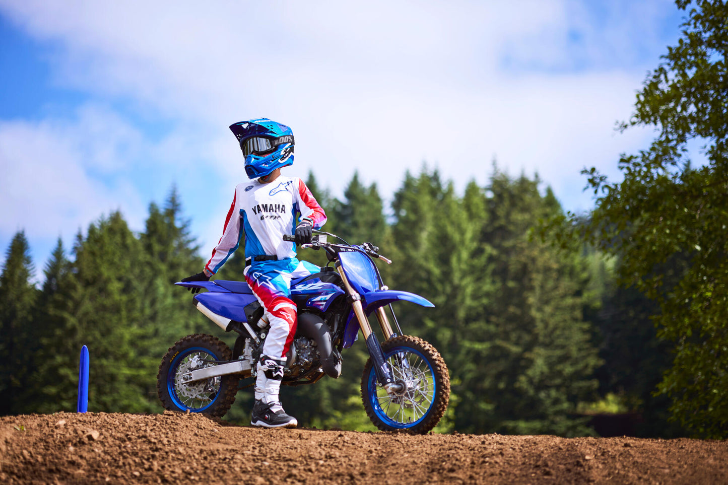 2025 YZ65