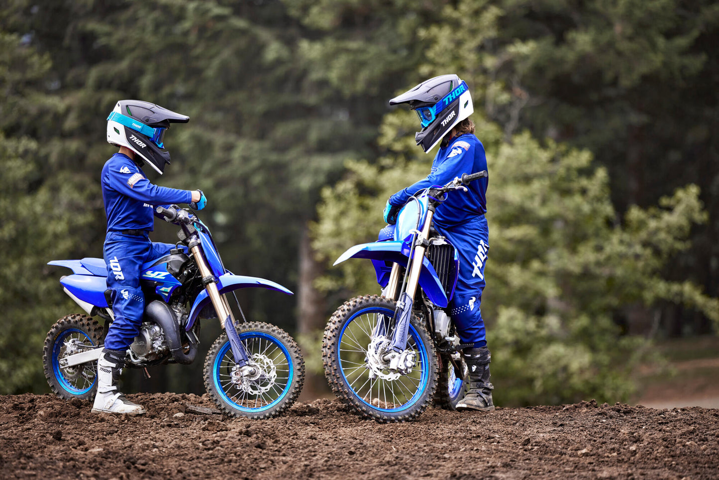 2025 YZ65