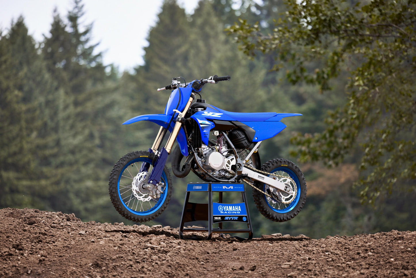 2025 YZ65
