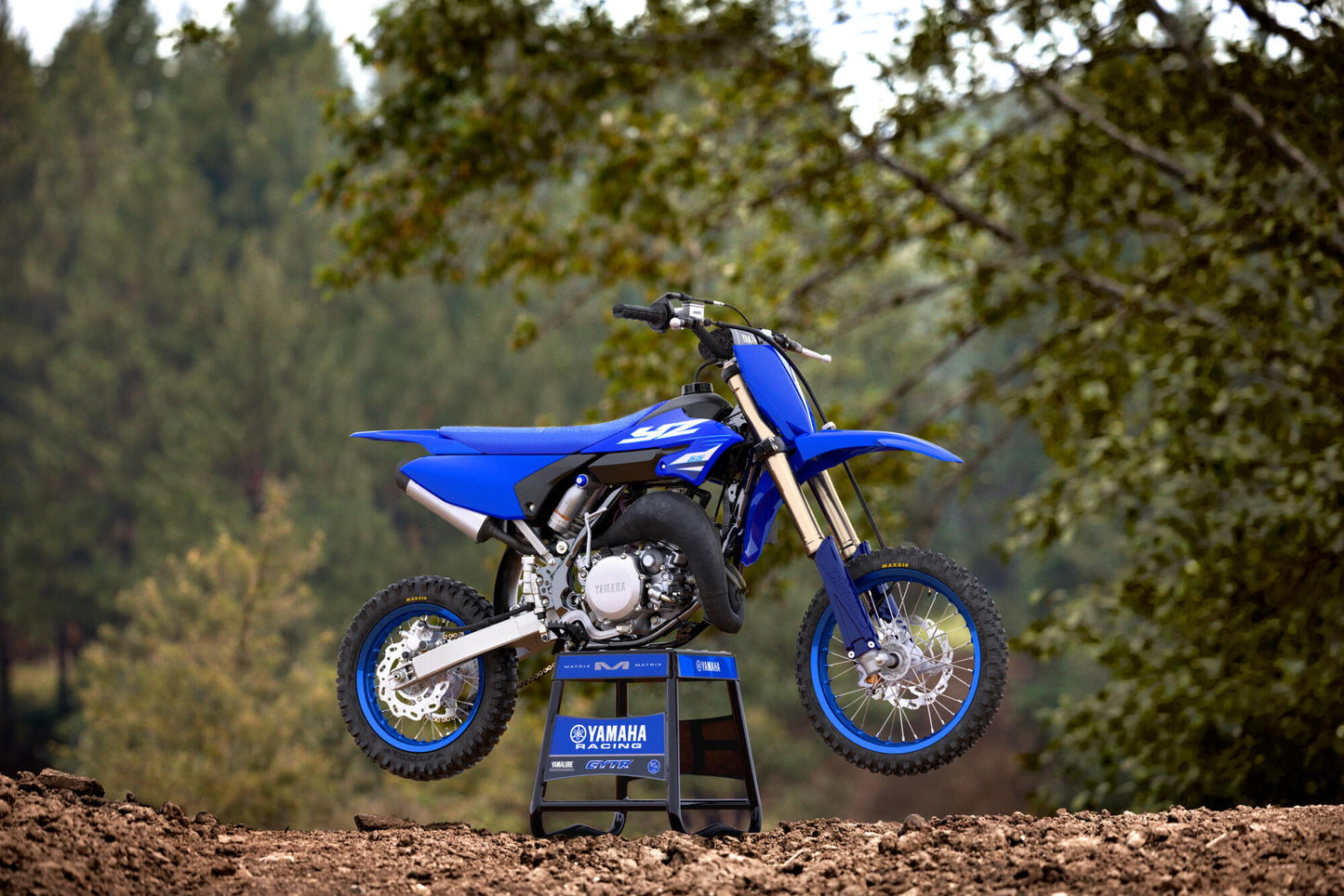 2025 YZ65