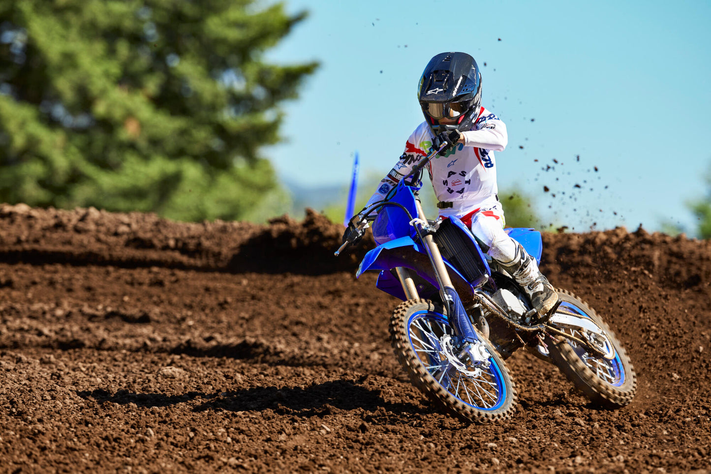 2025 YZ85