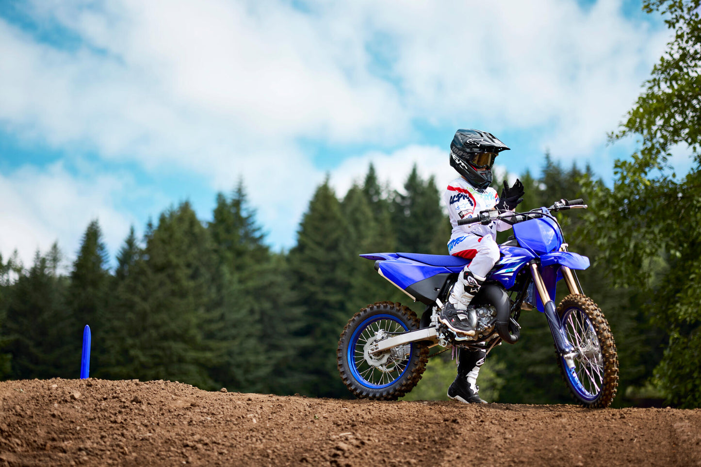 2025 YZ85