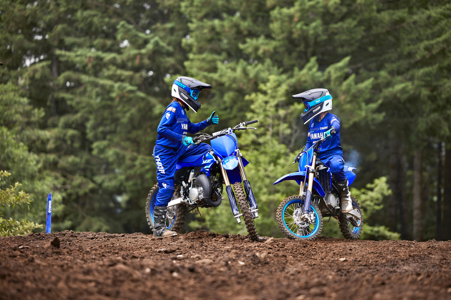 2025 YZ85
