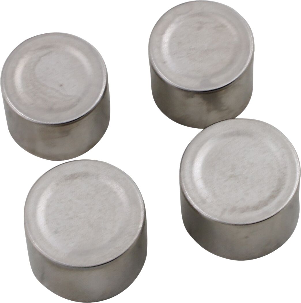 PARTS UNLIMITED BRAKE CALIPER PISTON KIT 09-523P