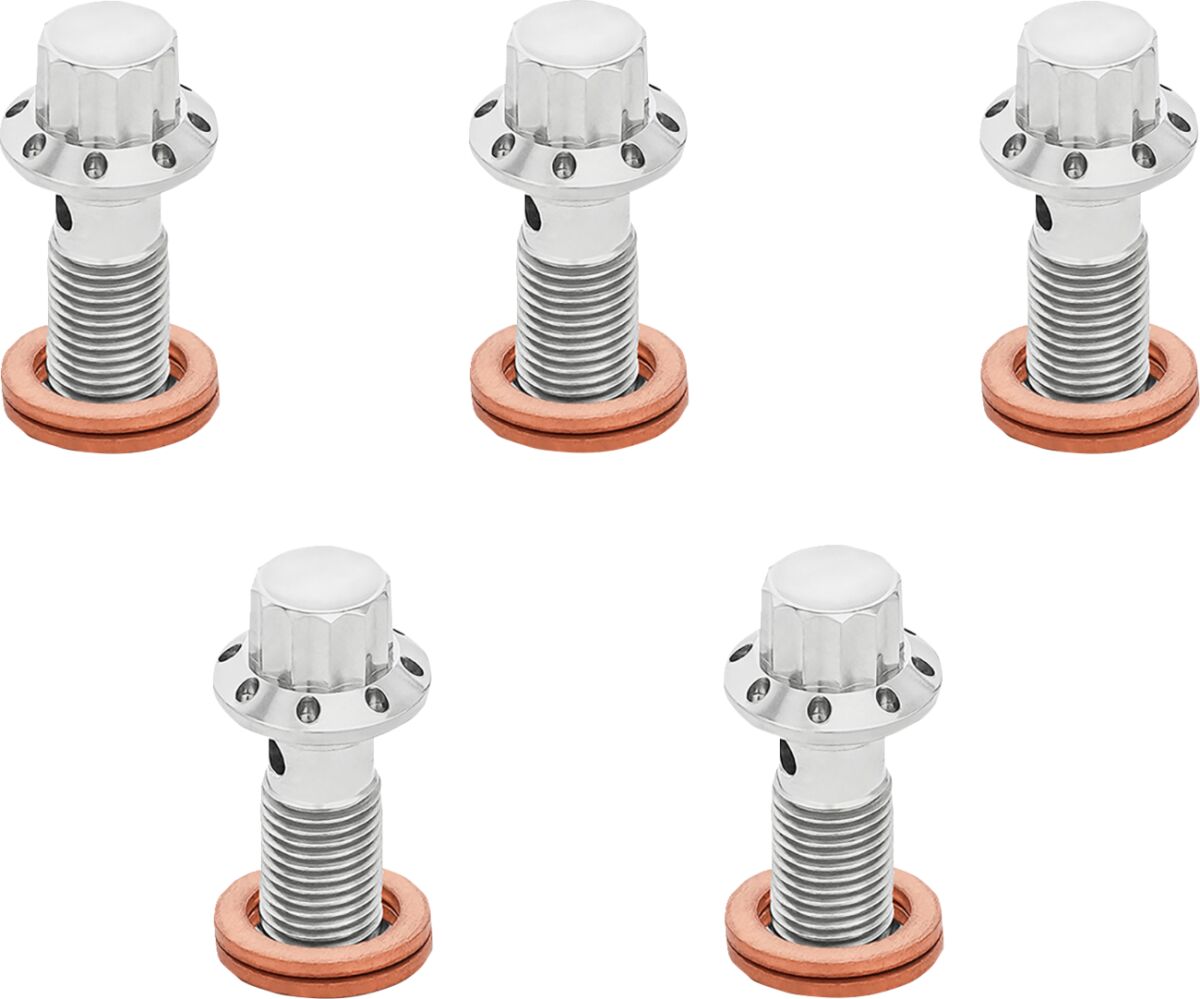 ARLEN NESS BOLT BANJO 5-PK 12 POINT 3/8-24 POLISHED F/R MC 00-07 TOUR 300-854