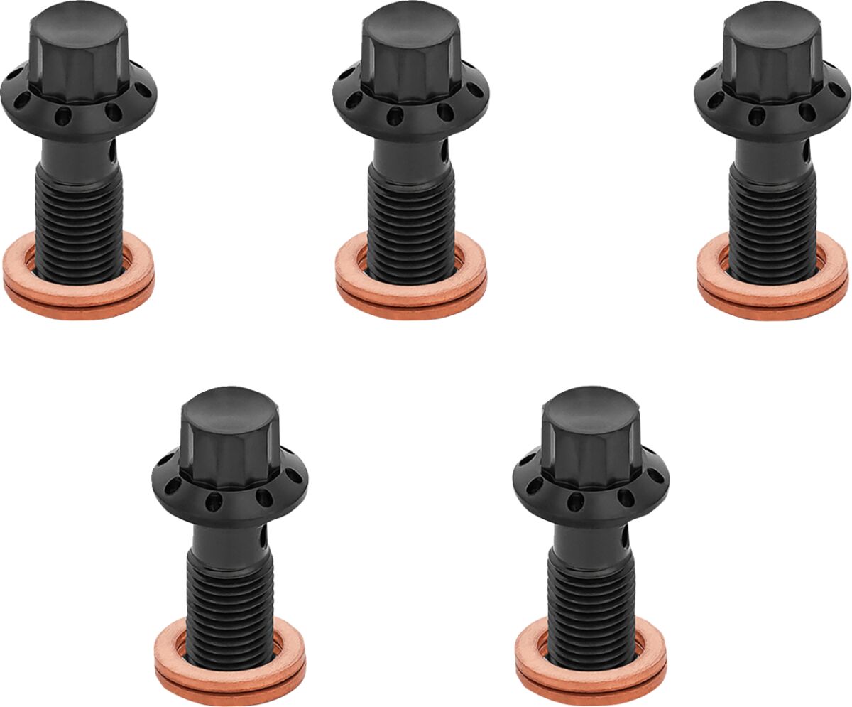ARLEN NESS BOLT BANJO 5-PK 12 POINT 3/8-24 BLACK F/R MC 00-07 TOURING 300-855