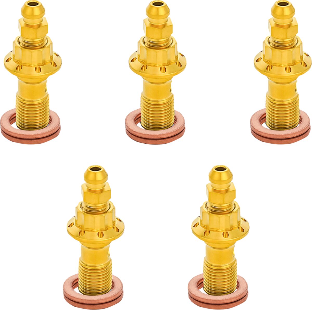 ARLEN NESS BOLT BANJO BLEEDER 5-PK 12-PT 10mm FR CALIPER GOLD TOURING 300-868