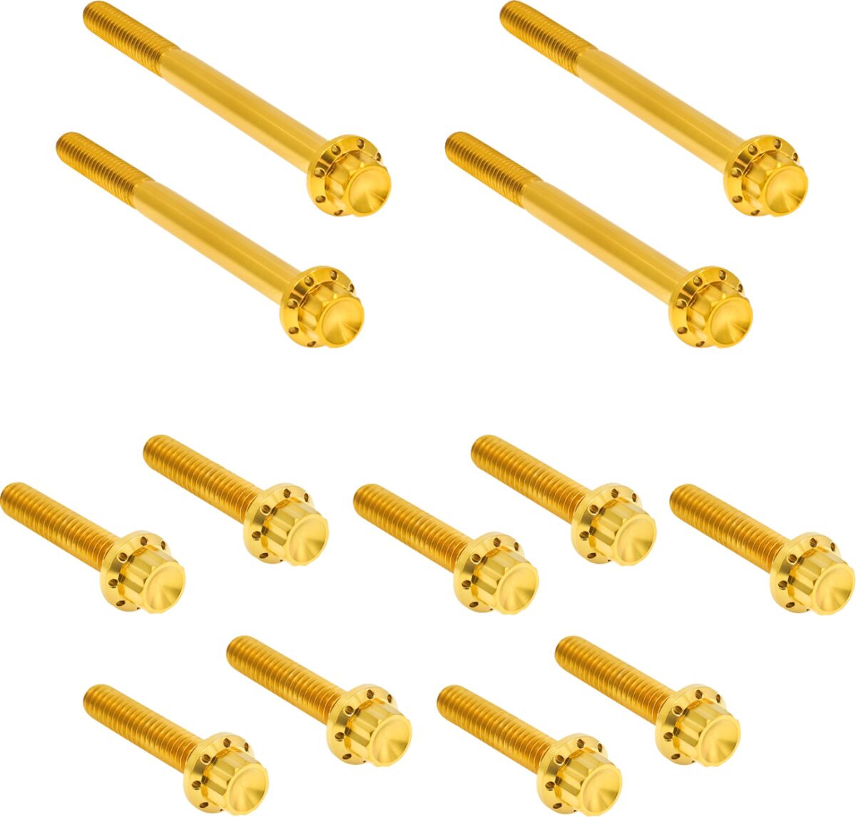 ARLEN NESS HARDWARE KIT TITANUIM 12PT PRIMARY COVER GOLD 300-931