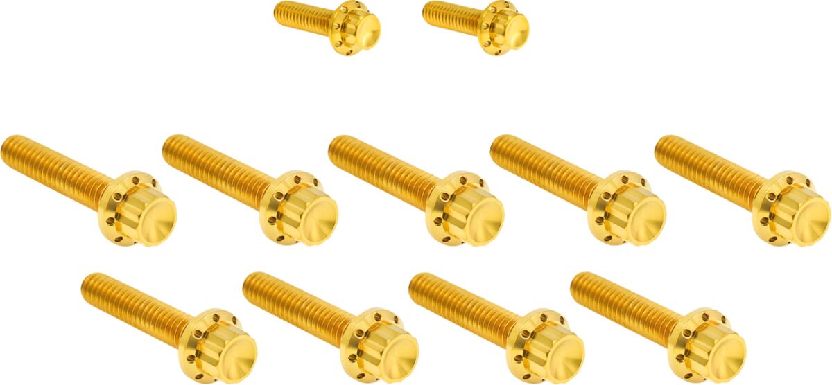 ARLEN NESS HARDWARE KIT TITANUIM 12PT CAM & POINT GOLD 300-934