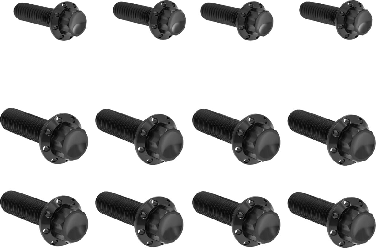 ARLEN NESS Bolt Kit - Transmission Side Cover/Trap Door - 12-Point - Black 300-954