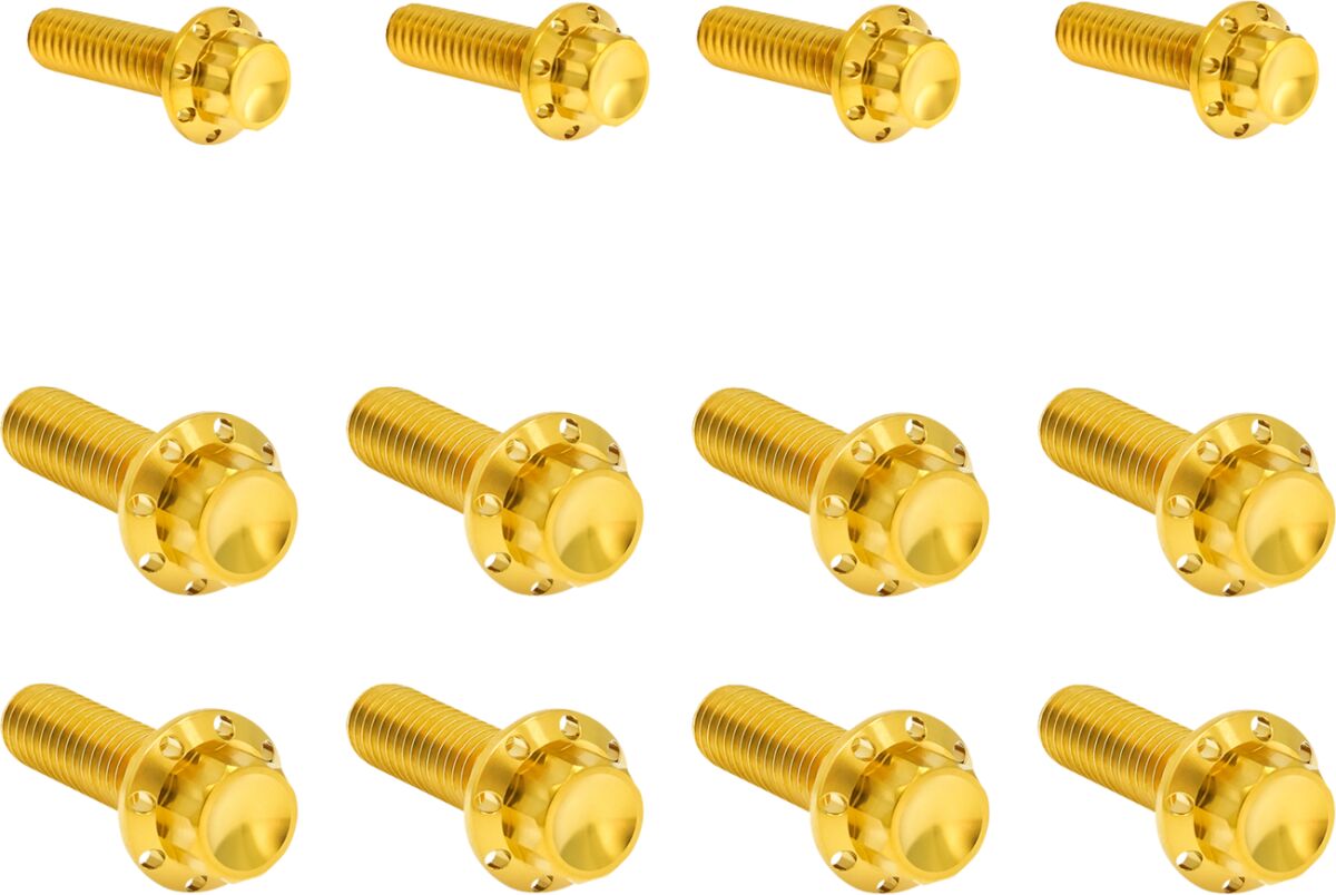 ARLEN NESS Bolt Kit - Transmission Side Cover/Trap Door - 12-Point - Gold 300-955