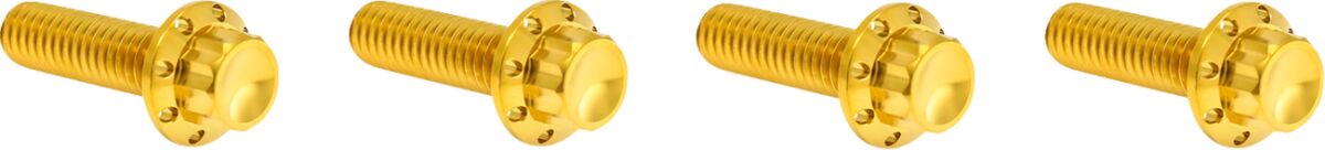 ARLEN NESS HARDWARE KIT TITANUIM 12PT TRANS TOP CVR GOLD 300-979