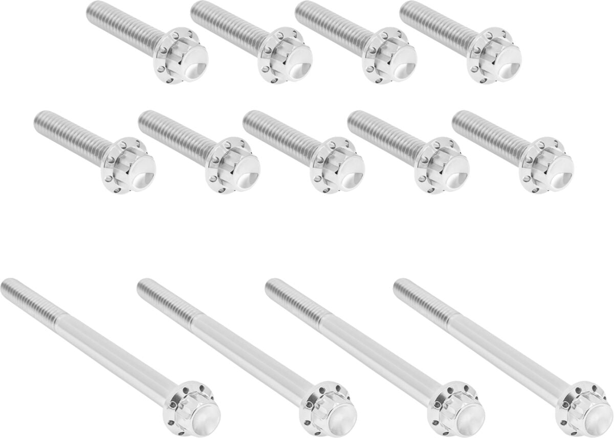 ARLEN NESS HARDWARE KIT TITANUIM 12PT PRIMARY COVER POLISH 300-989