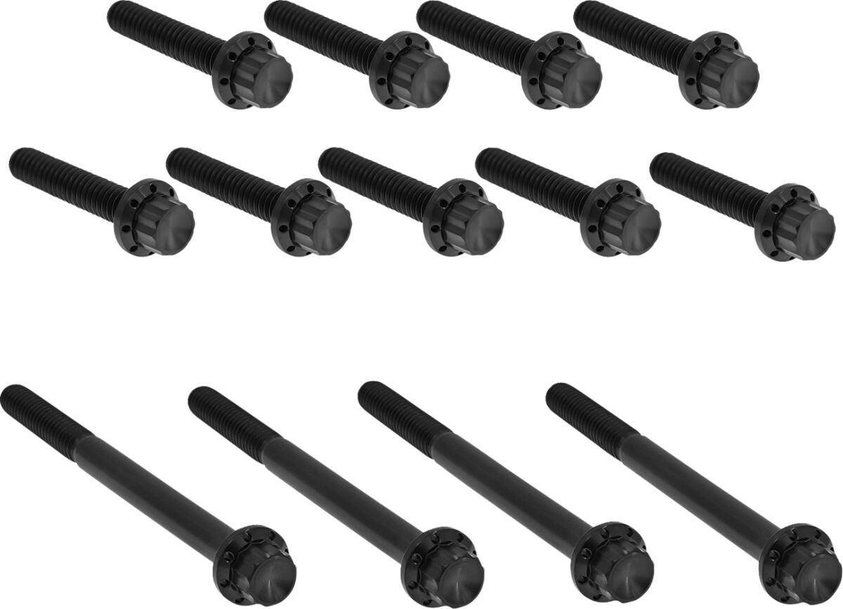 ARLEN NESS HARDWARE KIT TITANUIM 12PT PRIMARY COVER BLACK 300-990