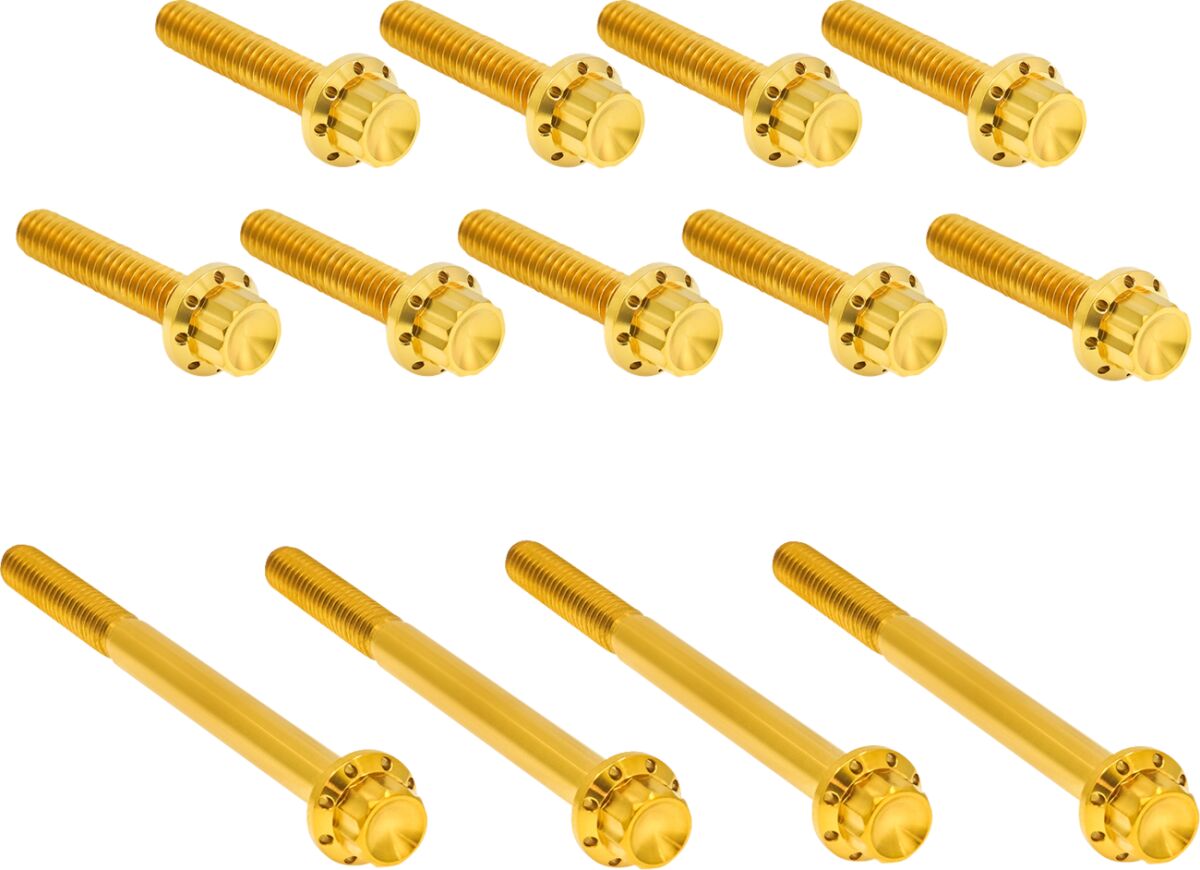 ARLEN NESS HARDWARE KIT TITANUIM 12PT PRIMARY COVER GOLD 300-991