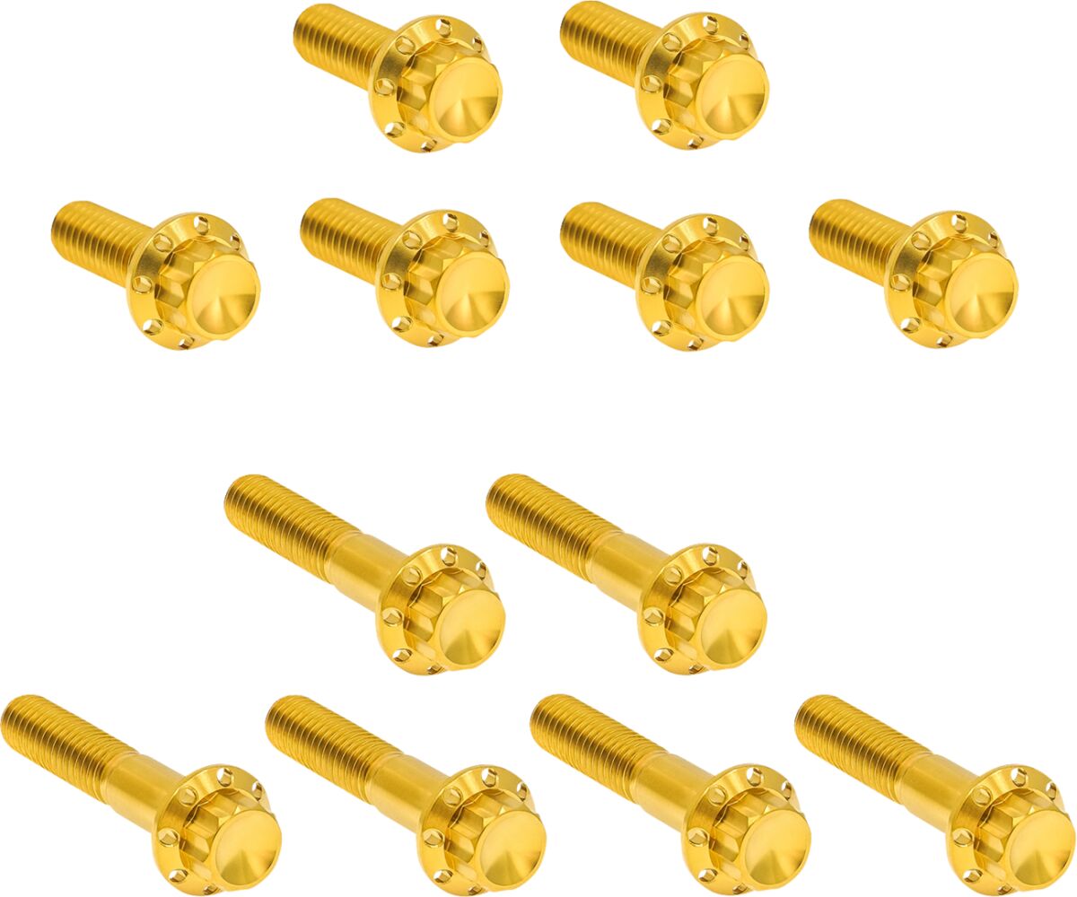 ARLEN NESS HARDWARE KIT TITANUIM 12PT ROCKER BOX GOLD 300-994