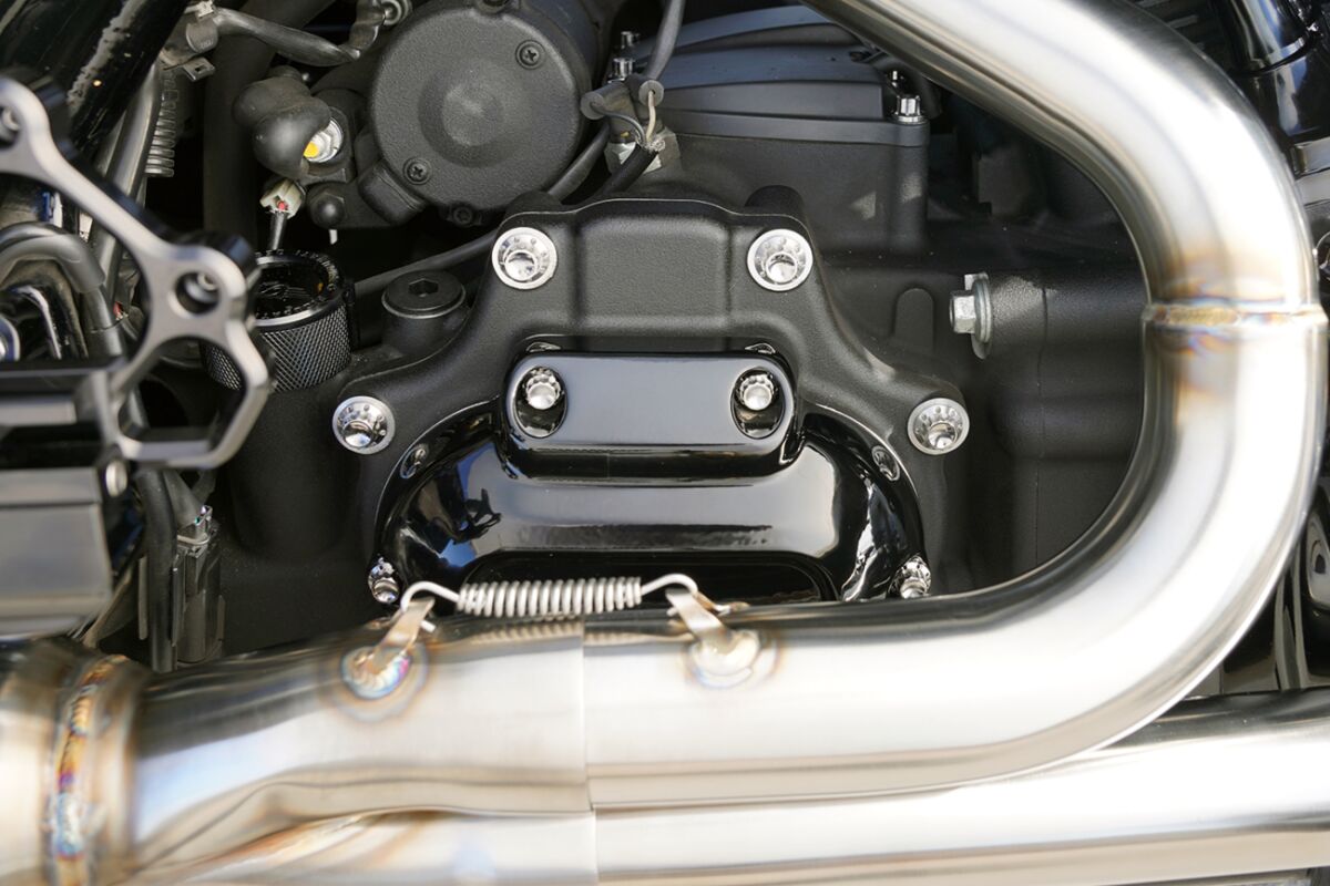 ARLEN NESS Bolt Kit - Transmission Side Cover/Trap Door - 12-Point - Polished 300-953