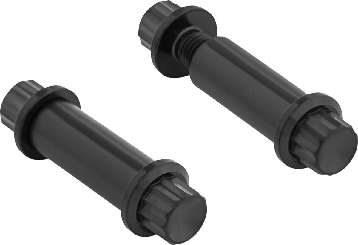 ARLEN NESS BOLTS KIT TITANIUM 12PT FOOTPEG BLACK 300-801