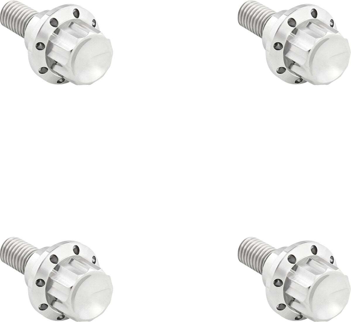 ARLEN NESS BOLT KIT TITANIUM 12PT WINDSHIELD POLISH 300-809