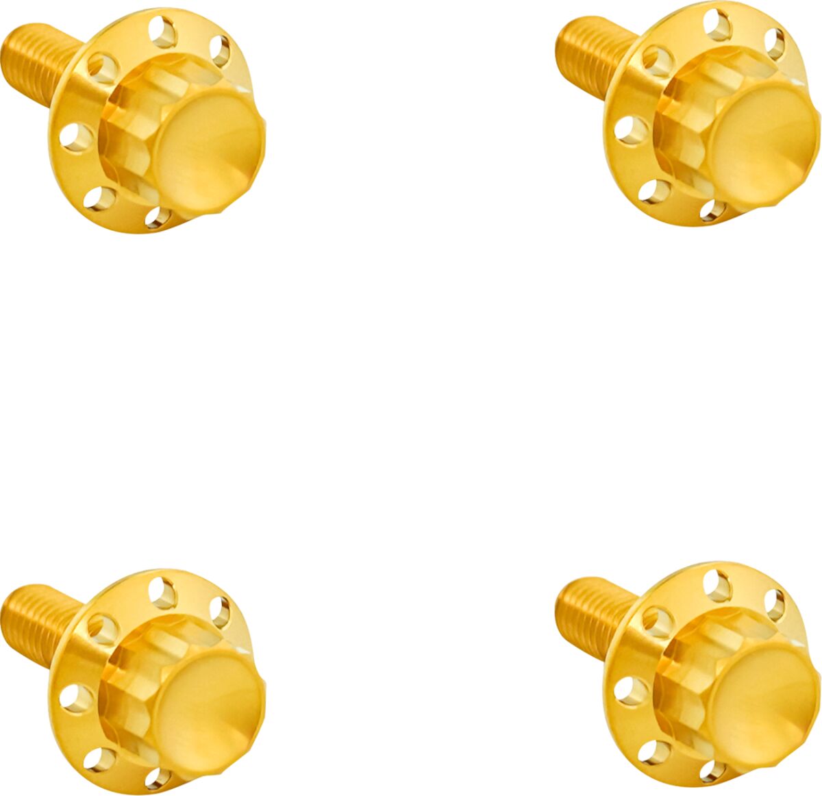 ARLEN NESS BOLTS KIT TITANIUM 12PT FRONT FENDER GOLD 300-817