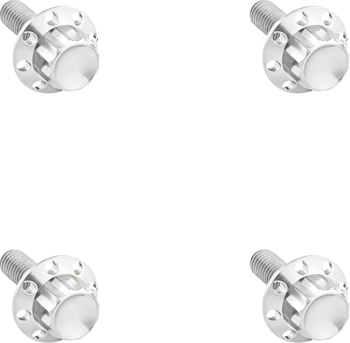 ARLEN NESS BOLT KIT TITANIUM 12PT WINDSHIELD POLISH 300-839