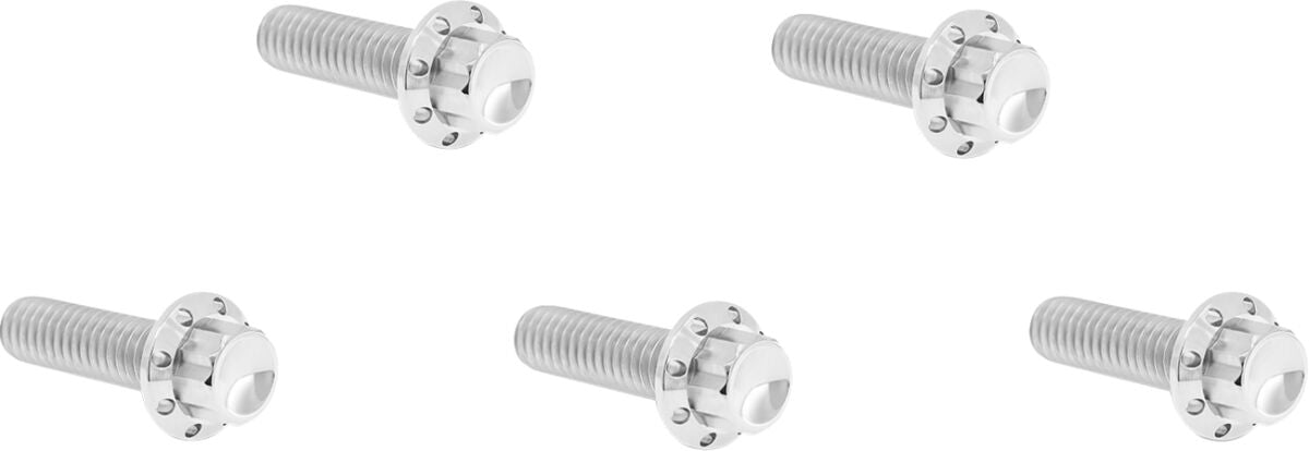 ARLEN NESS BOLT KIT TITANIUM 12PT DERBY COVER POLISH 300-923