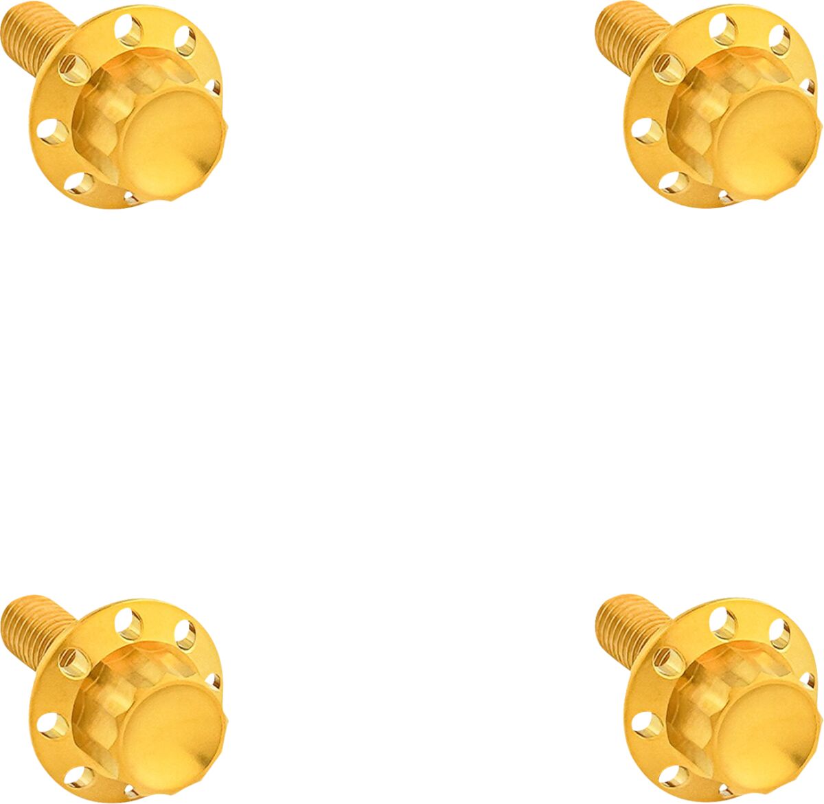 ARLEN NESS BOLT KIT TITANIUM 12PT WINDSHIELD GOLD 300-841
