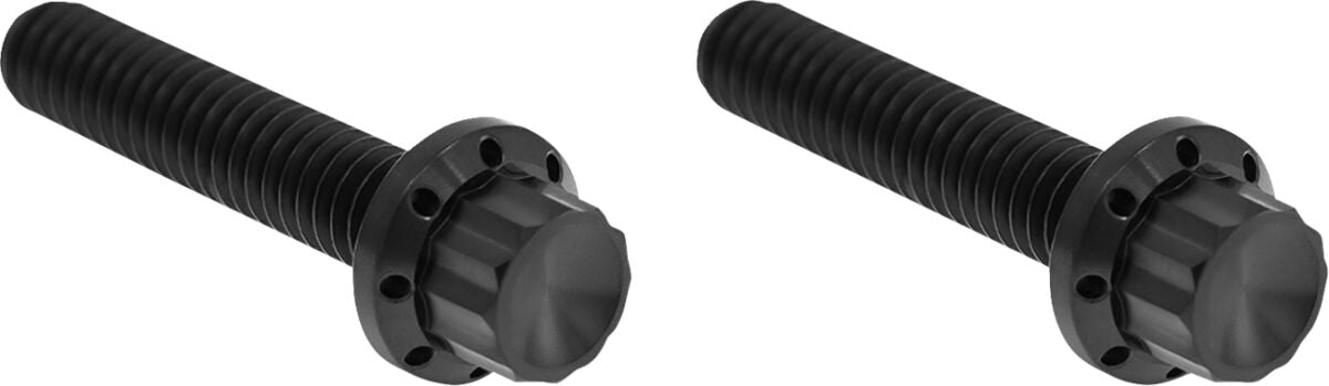 ARLEN NESS HARDWARE KIT TITANIUM 12-PNT M8/TC HYD CLUTCH BLACK 300-707