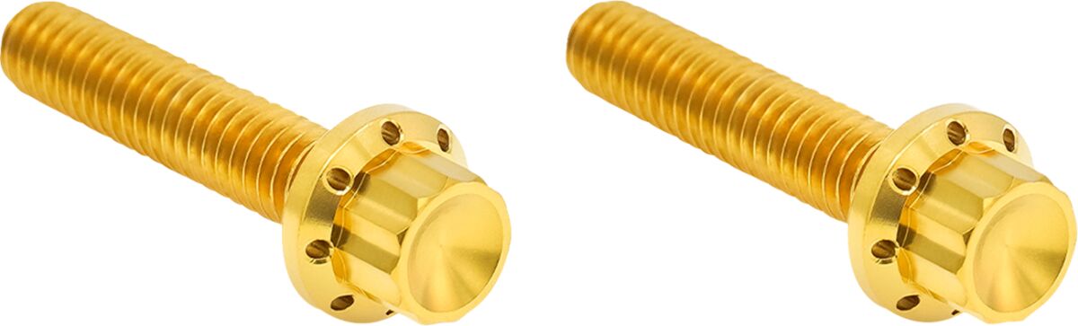 ARLEN NESS HARDWARE KIT TITANIUM 12-PNT M8/TC HYD CLUTCH GOLD 300-708