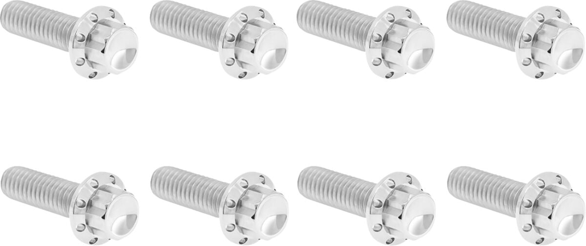 ARLEN NESS HARDWARE KIT TITANIUM 12-PNT M8/TC TRAP DOOR PLSH 300-709