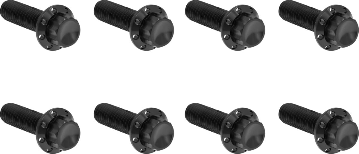 ARLEN NESS HARDWARE KIT TITANIUM 12-PNT M8/TC TRAP DOOR BLACK 300-710