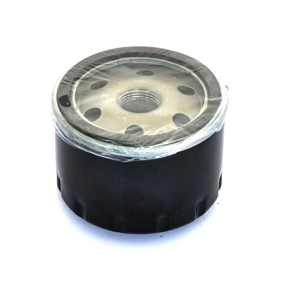ATHENA OIL FILTER BMW FFP024