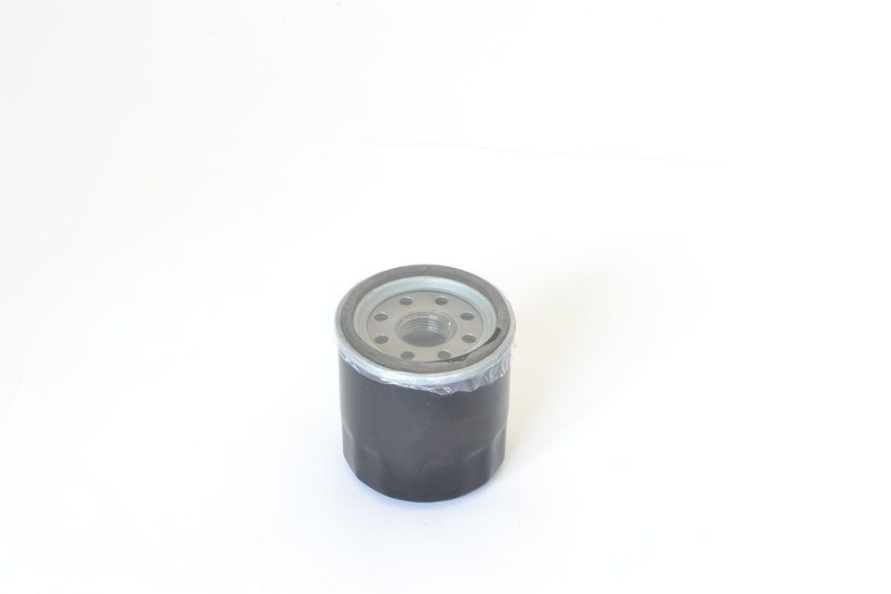 ATHENA OIL FILTER POLARIS FFP026