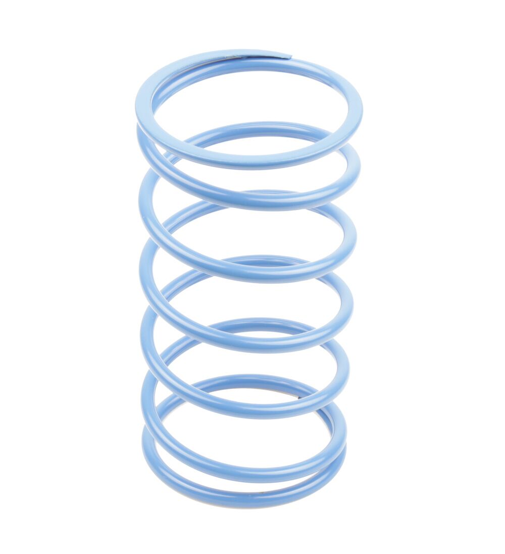 ATHENA VARIATOR SPRINGS 22kg �~ 46mm 070196