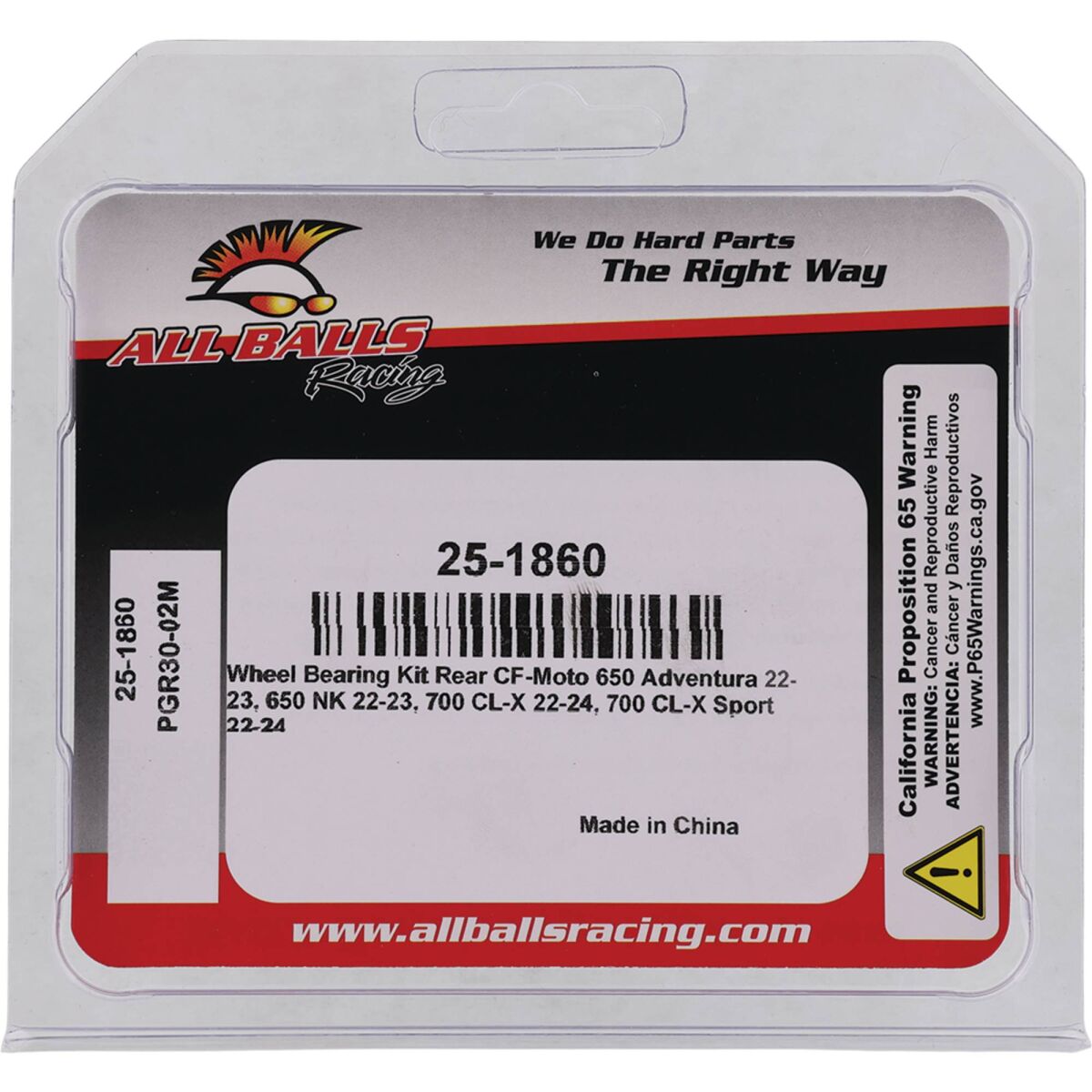 ALL BALLS BEARING KIT WHEEL CF MOTO 25-1860