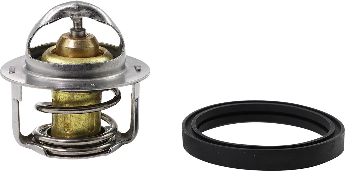 ALL BALLS THERMOSTAT POLARIS 16-3001