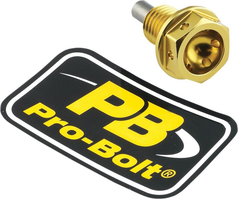 PRO BOLT BOLT DRAIN 12X1.5X15 GOLD ALSUMP1215MAGG