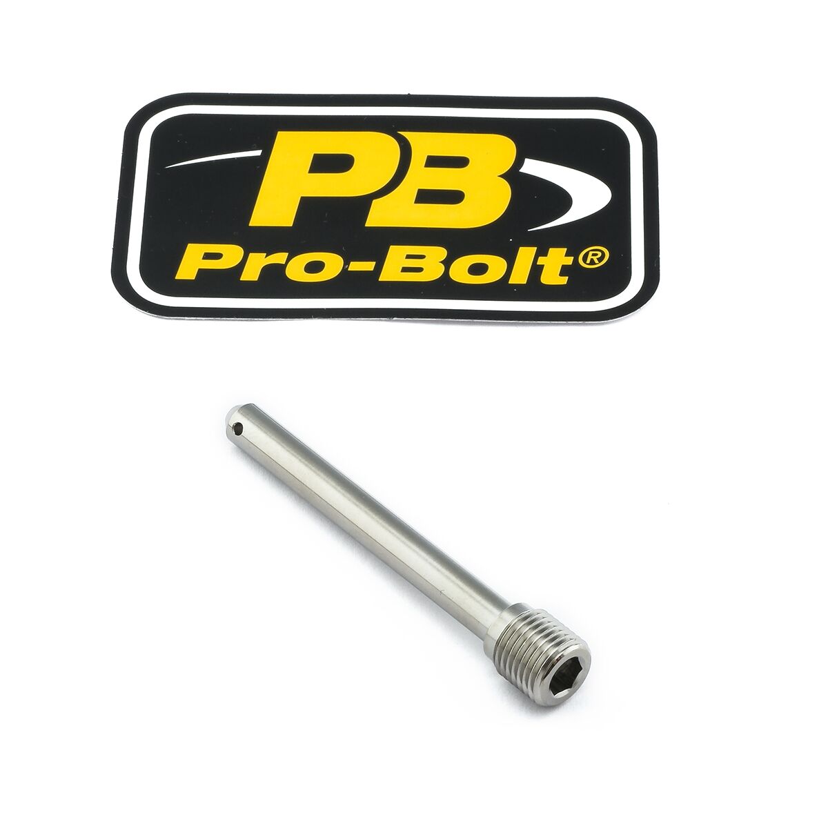 PRO BOLT BRAKE CALIPER PIN TITAN REAR TIPINBP001Z2