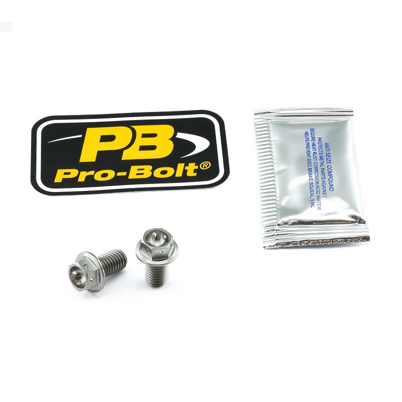 PRO BOLT BRAKE CALIPER MOUNTING BOLT KIT TIT RC TIRBMON350R