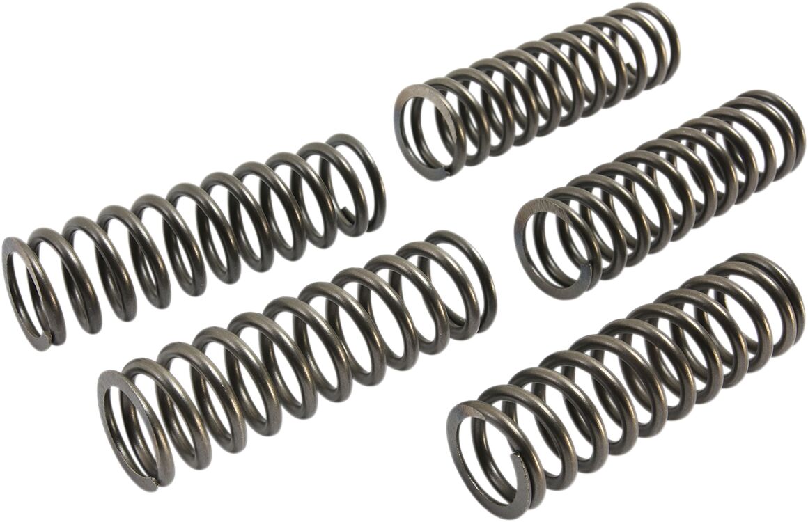 EBC CLUTCH SPRING KIT COIL SPRING CSK SERIES STEEL CSK239