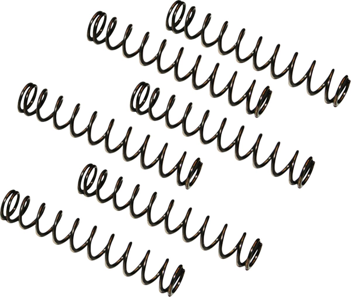 Feuling Parts CAMPLATE PRESSURE RELIEF VALVE SPRINGS 8019