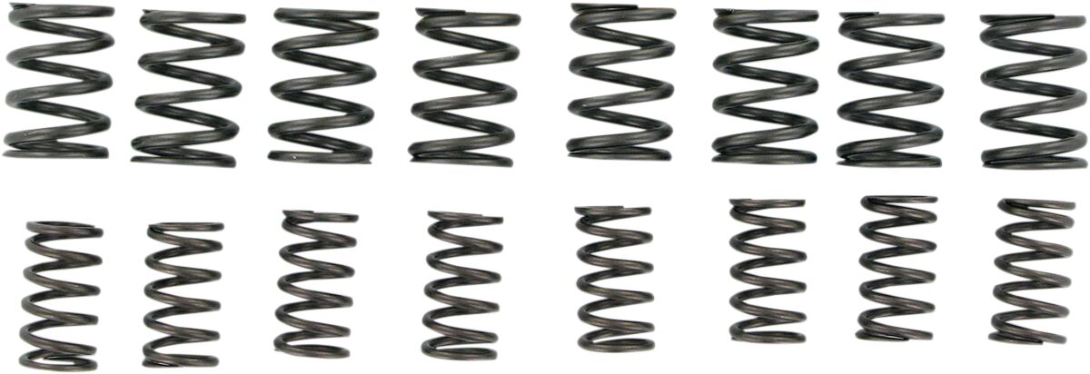 KIBBLEWHITE SPRING ONLY HIGH PERFORMANCE KIT 40-0449