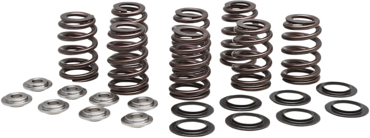 KIBBLEWHITE SPRING KIT BEEHIVE TITANIUM RETAINER 20-21000