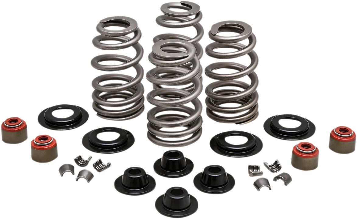 KIBBLEWHITE SPRING KIT BEEHIVE STEEL RETAINER 20-21400