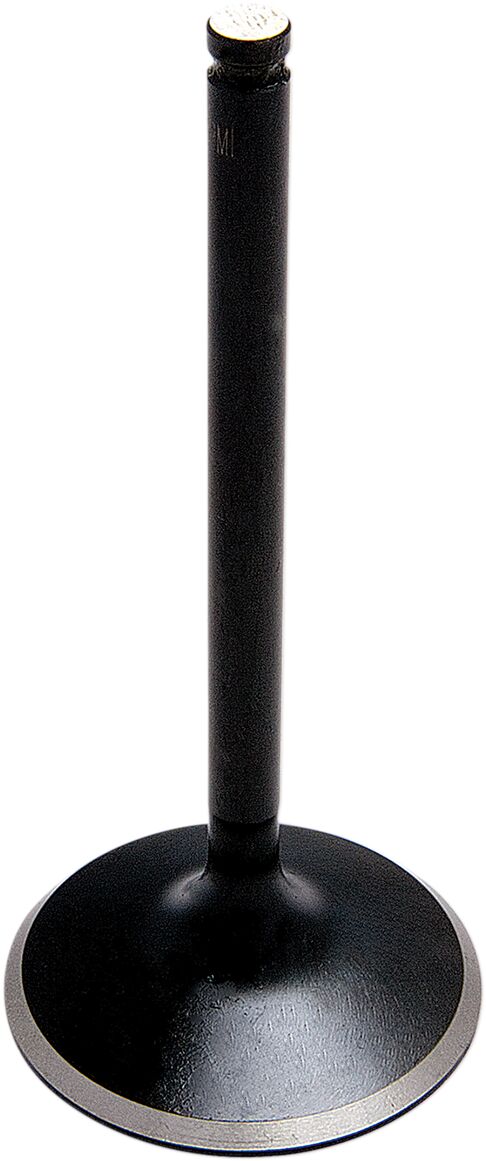 KIBBLEWHITE VLV IN STD BD WR/YZ250F 80-80912